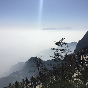 花店三女漫画原版漫画全集
