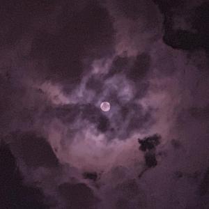 花店三女漫画原版漫画全集
